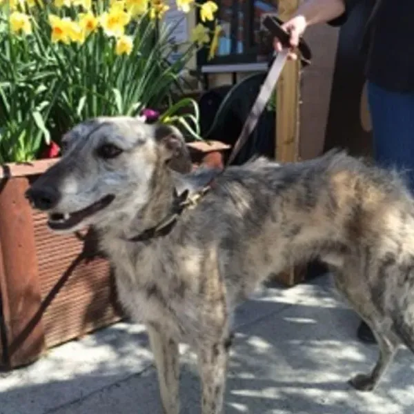 11111802 814751348608722 5529040410467835550 n