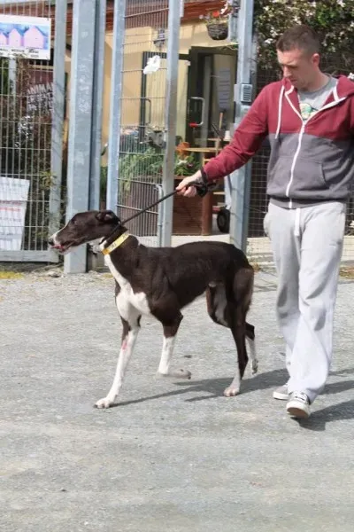 11113631 1014948351856197 5557511682951593712 n