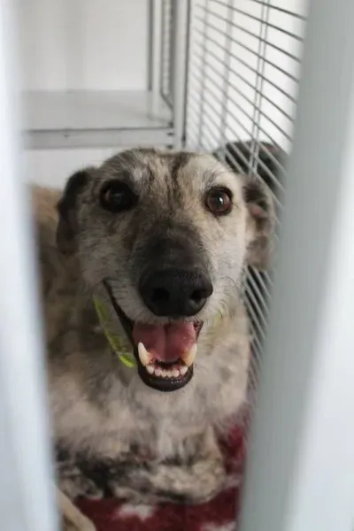 11114780 1014949981856034 5631737324162472660 n