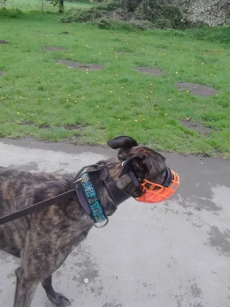 11117484 10205050989172142 993209278 n