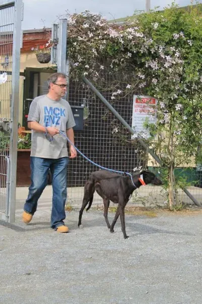 11119317 1014948461856186 2592395685435663374 n