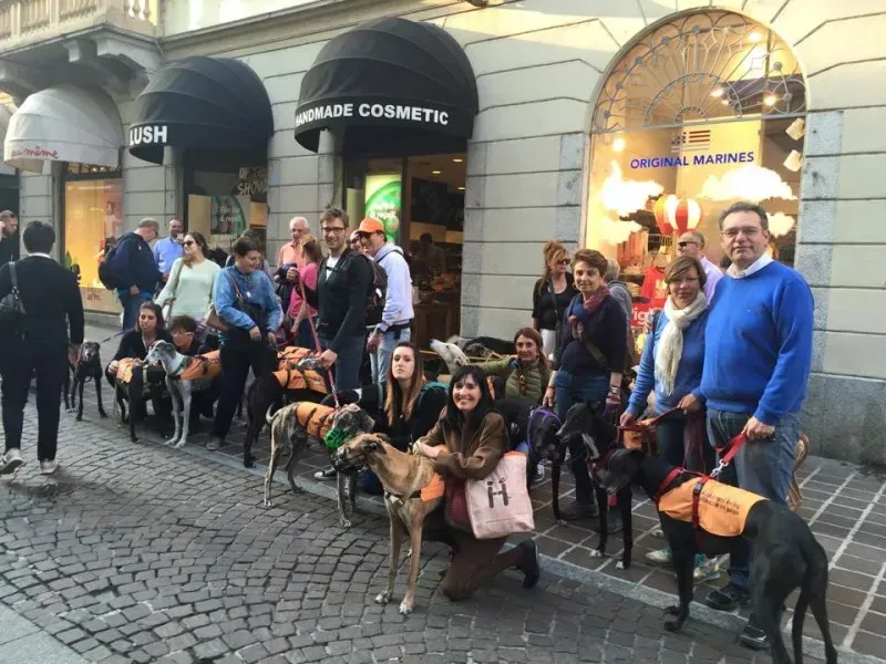 11121111 811872995563224 8711118530975915619 n