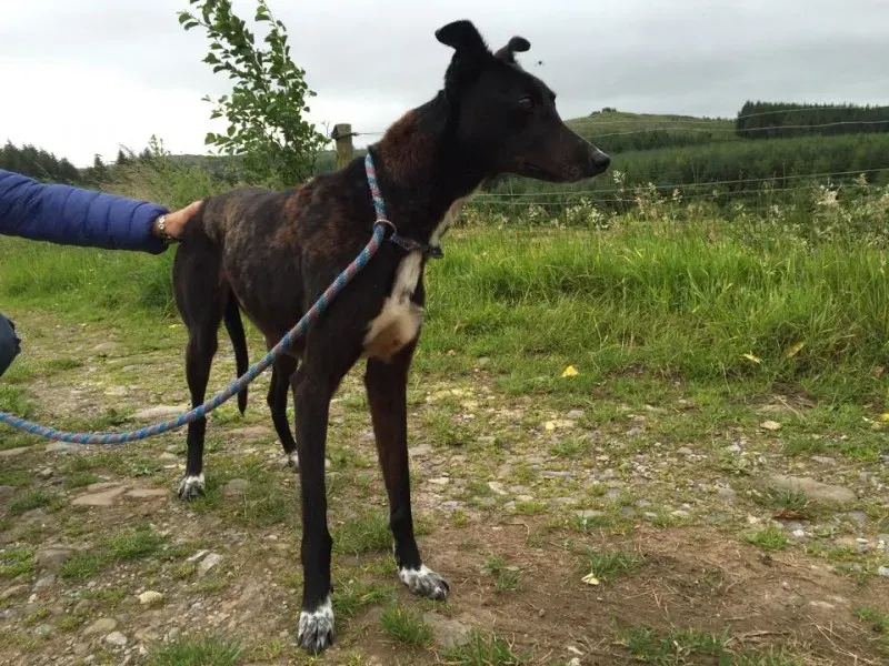 11121113 924579644269728 1116848708 n