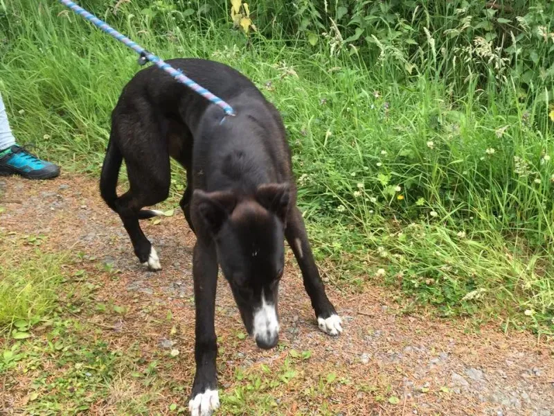 11122395 924007290993630 1113939269 n