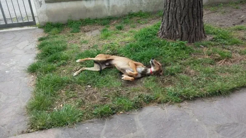 11124257 1423736187951714 1738641340 n