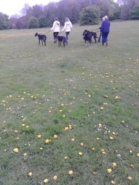 11124461 10205050988772132 473373278 n