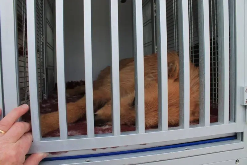 11124505 1014949558522743 4003500150280788872 n