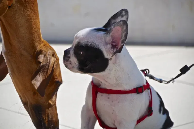 11130311 10202939887817490 2389269121666967428 o