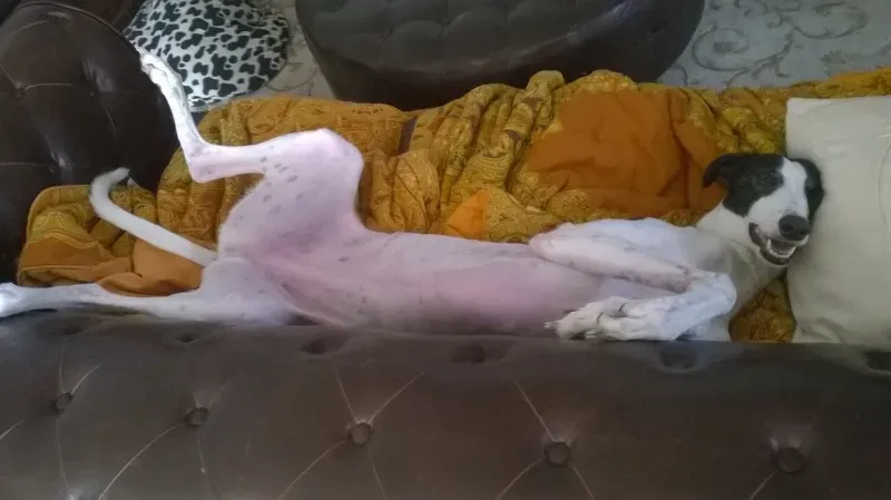 11133985 10207256655080357 8950716213211277812 o