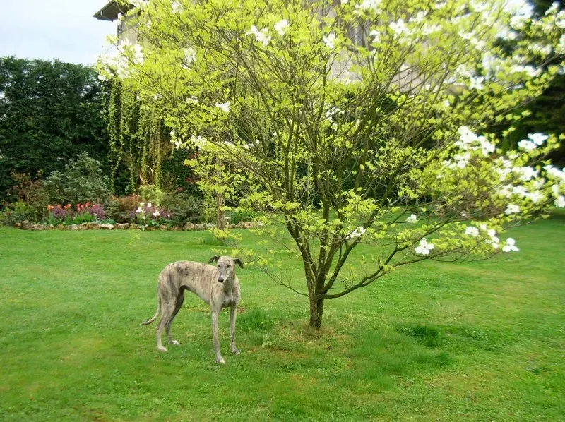 11134099 637342343075807 8845037953179156945 o