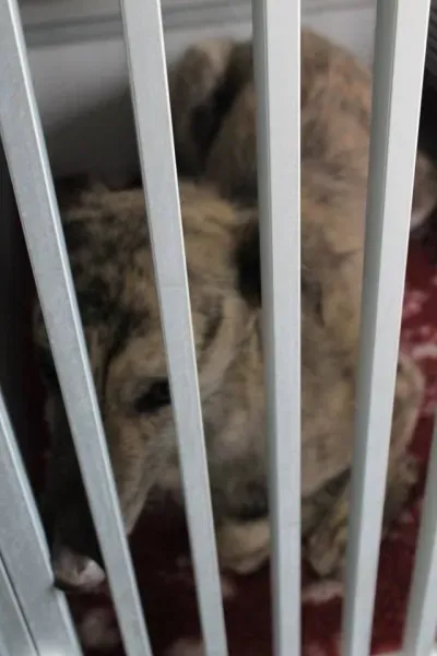 11137138 1014949238522775 4594137384836404298 n