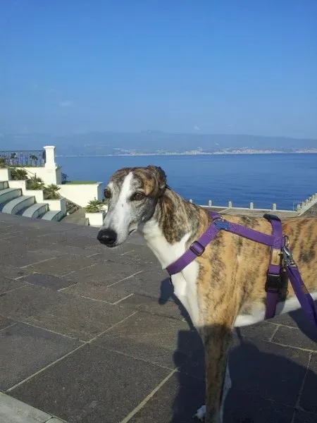 11138641 10205628404501854 8971490739816012021 n