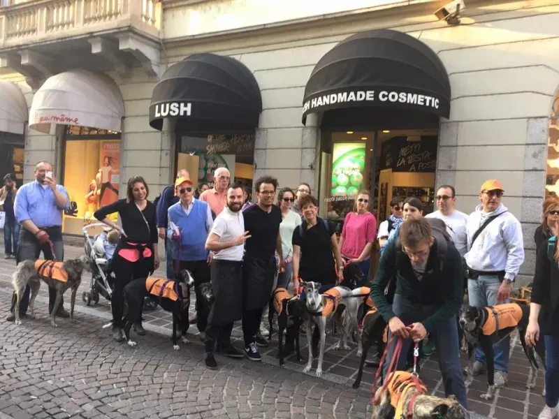 11138649 811874212229769 8538775258893062883 n