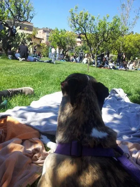 11138657 10205658703499310 7854270676470838982 n