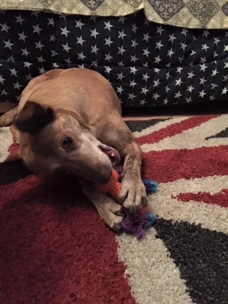 11139011 981639821854072 4262862824356845887 n