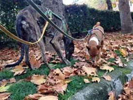 11140004 918283308255525 4539999722302428444 n