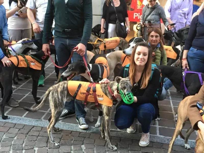 11140015 811873705563153 3200760785006506574 n