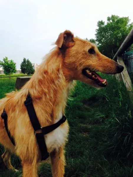 11140066 852784854813119 1172879016384085255 n