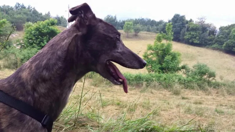 11140190 852786134812991 1454649119031516257 n