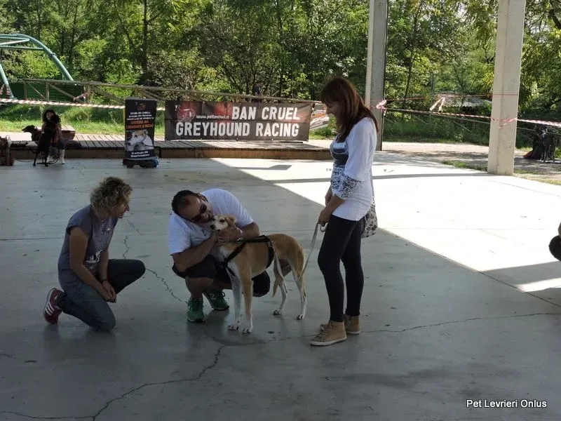 11140251 894802347270288 4157939020265686474 n