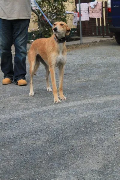 11143430 1014947208522978 2762782425397454392 n