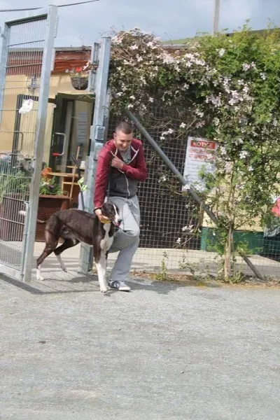 11143499 1014948261856206 7816126320487066988 n