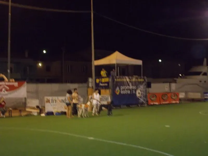 11144997 10206294645437801 4108743539264841549 o