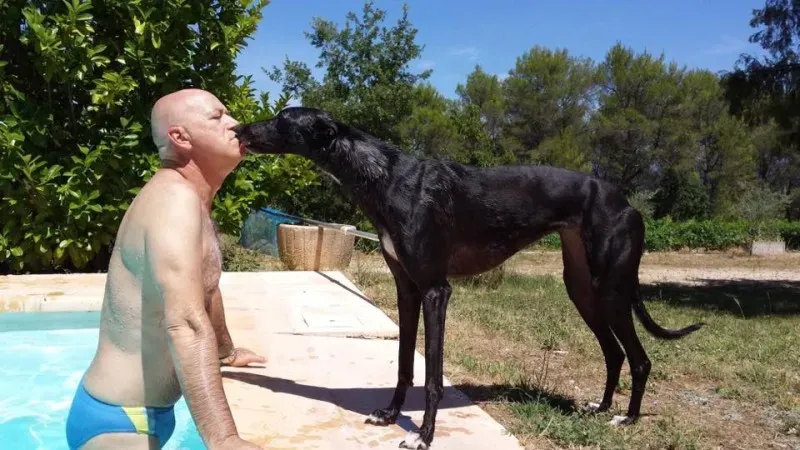 11145013 862668290483694 6865195711971993197 n