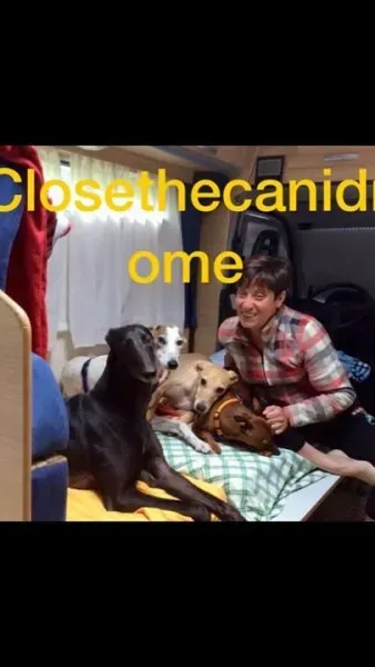 11145904 10204858683968879 1026520018446011536 o