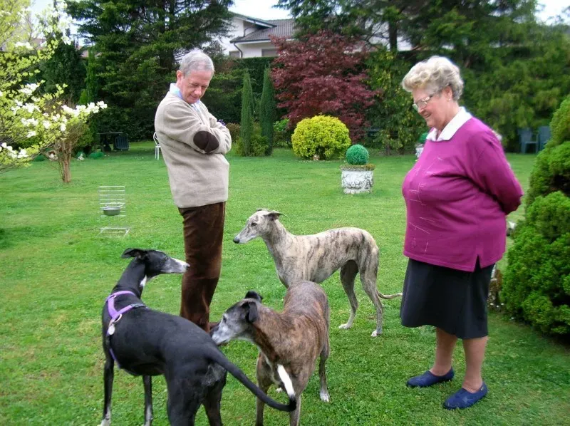 11146347 637342339742474 4771439444516320348 o