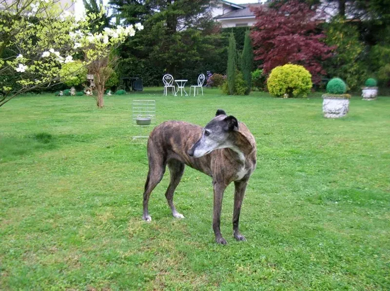 11146350 637342146409160 6587350003379125598 o