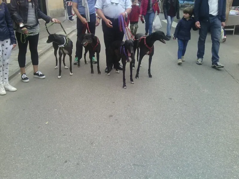 11146527 822532117830645 7754365898695745648 n