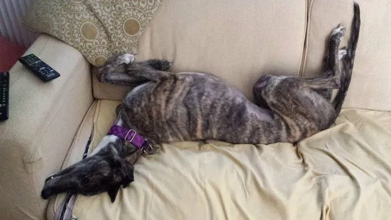 11147093 737552499675879 833135523951806053 n