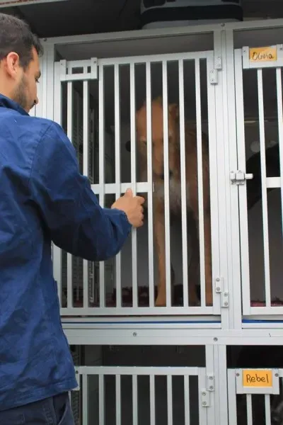 11148353 1014947978522901 545904489543929475 n