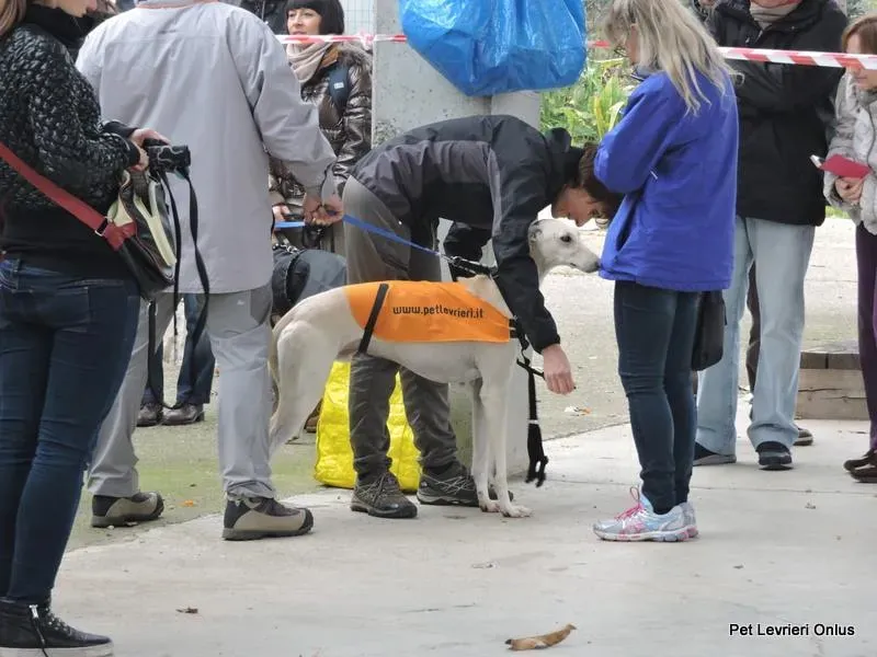 11148708 918531728230683 2452197340861222639 n