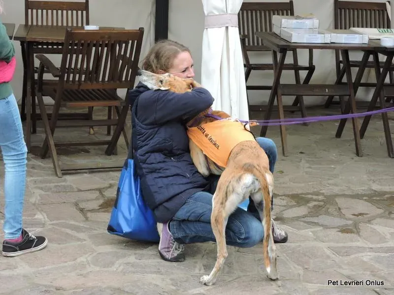 11148763 918536251563564 8978628923502404141 n