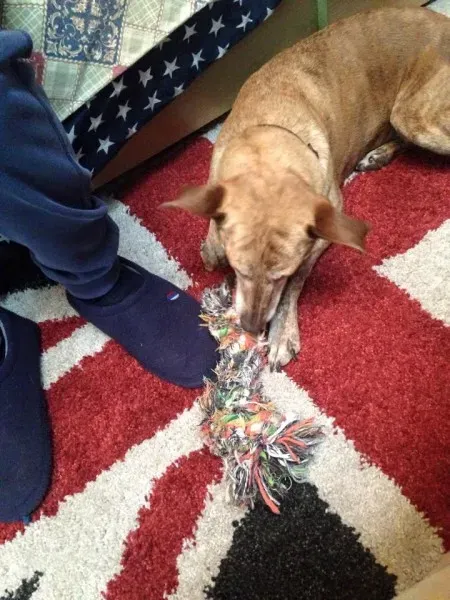 11149268 981445511873503 2864886068236191144 n