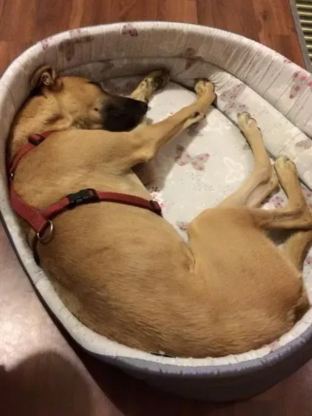 11149377 10206608056427188 4228000641181191368 n