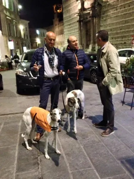 11149514 10204827364736336 4191896123619585659 n