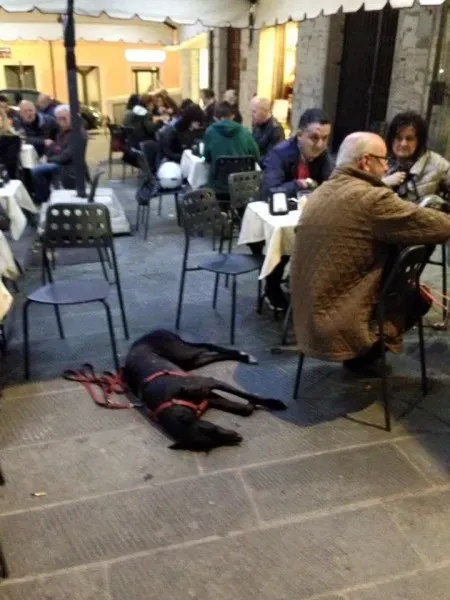 11150279 10204827362016268 7144446159826690678 n