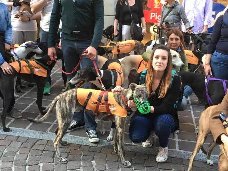 11150280 811873555563168 7100349043121700480 n