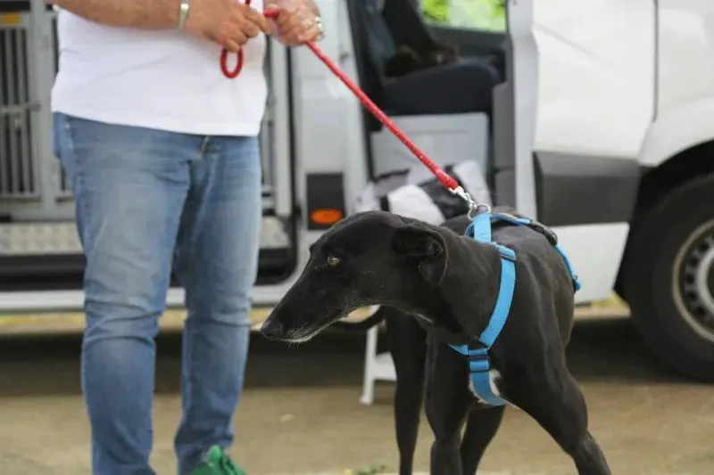 11150496 824846537599203 1730832550164576977 n