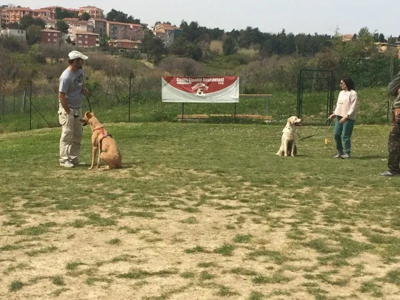 11150595 10206645368999979 1331680431641651480 n