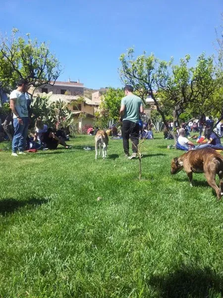 11150696 10205658706459384 1197002596349036188 n