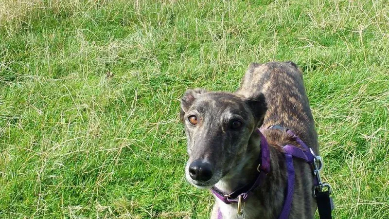 11150986 737552539675875 4071180928590527850 n