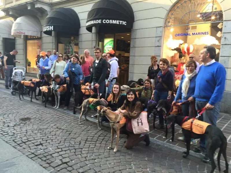 11152688 811873332229857 6519823737857540682 n