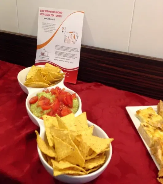 11156113 10204827357816163 3239140041854444506 n