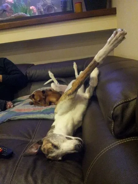 11156344 10205628404821862 5583551819098996339 n