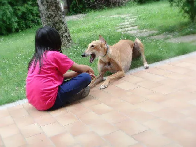 11159446 851390278278162 298162958426552304 n