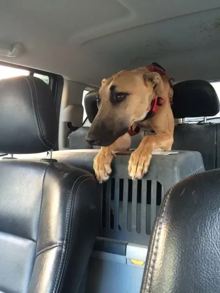 11160363 10206750123298771 186312521 n1